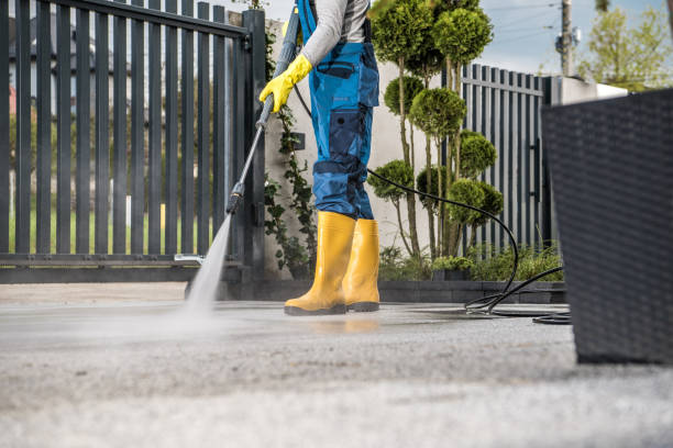 Best Solar Panel Cleaning  in Lakehurst, NJ